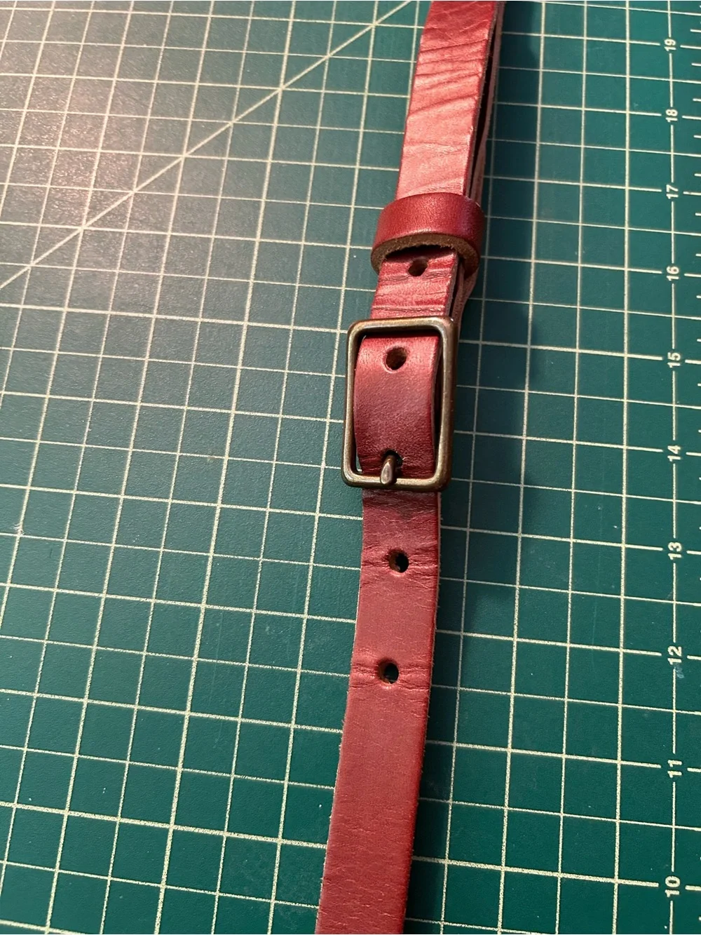 Go Forth Goods Crossbody Strap - Picture 3 of 6